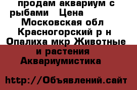 продам аквариум с рыбами › Цена ­ 10 000 - Московская обл., Красногорский р-н, Опалиха мкр Животные и растения » Аквариумистика   